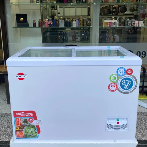 Tokyo Congelador PARA HELADOS CGTCONP400 333L NETO